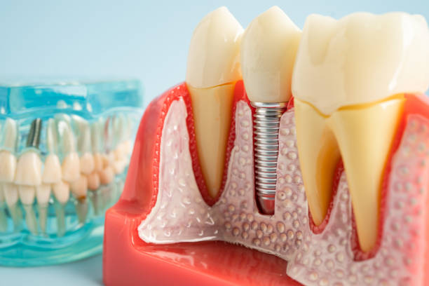 Best Preventive Dentistry  in Boonton, NJ